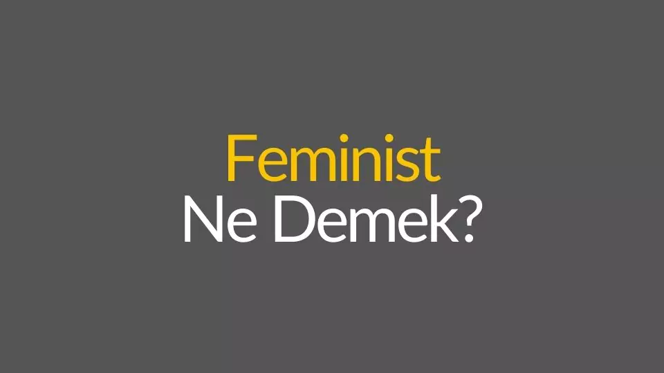 feminist ne demek