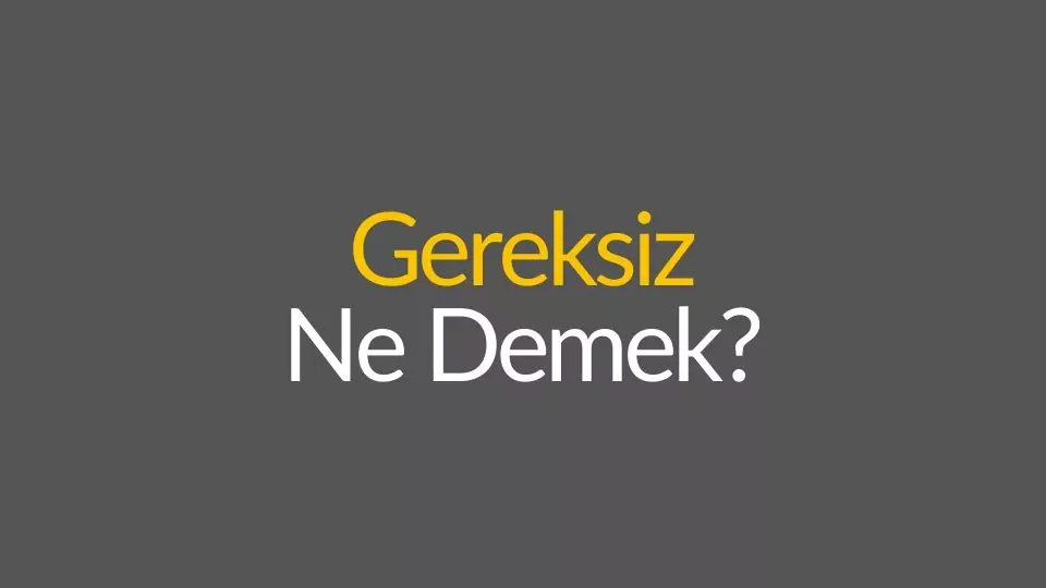 gereksiz ne demek