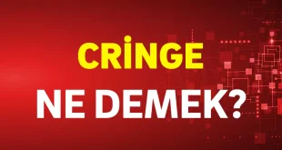 cringe ne demek