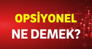 opsiyonel ne demek