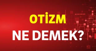 otizm ne demek