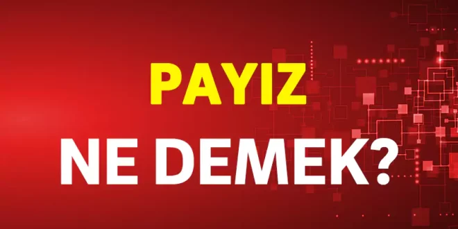 payız ne demek