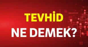 tevhid ne demek