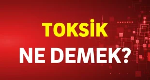 toksik ne demek