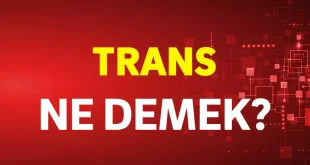 trans ne demek
