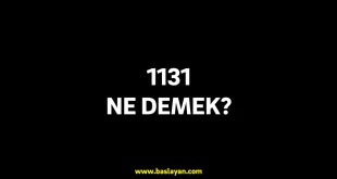 1131 ne demek