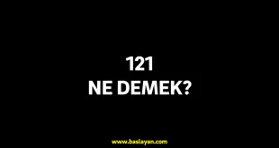 121 ne demek