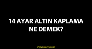 14 ayar altın kaplama ne demek