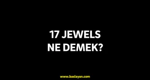 17 jewels ne demek
