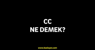 cc ne demek