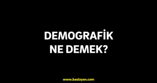 demografik ne demek