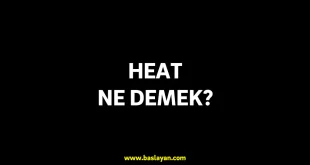 heat ne demek